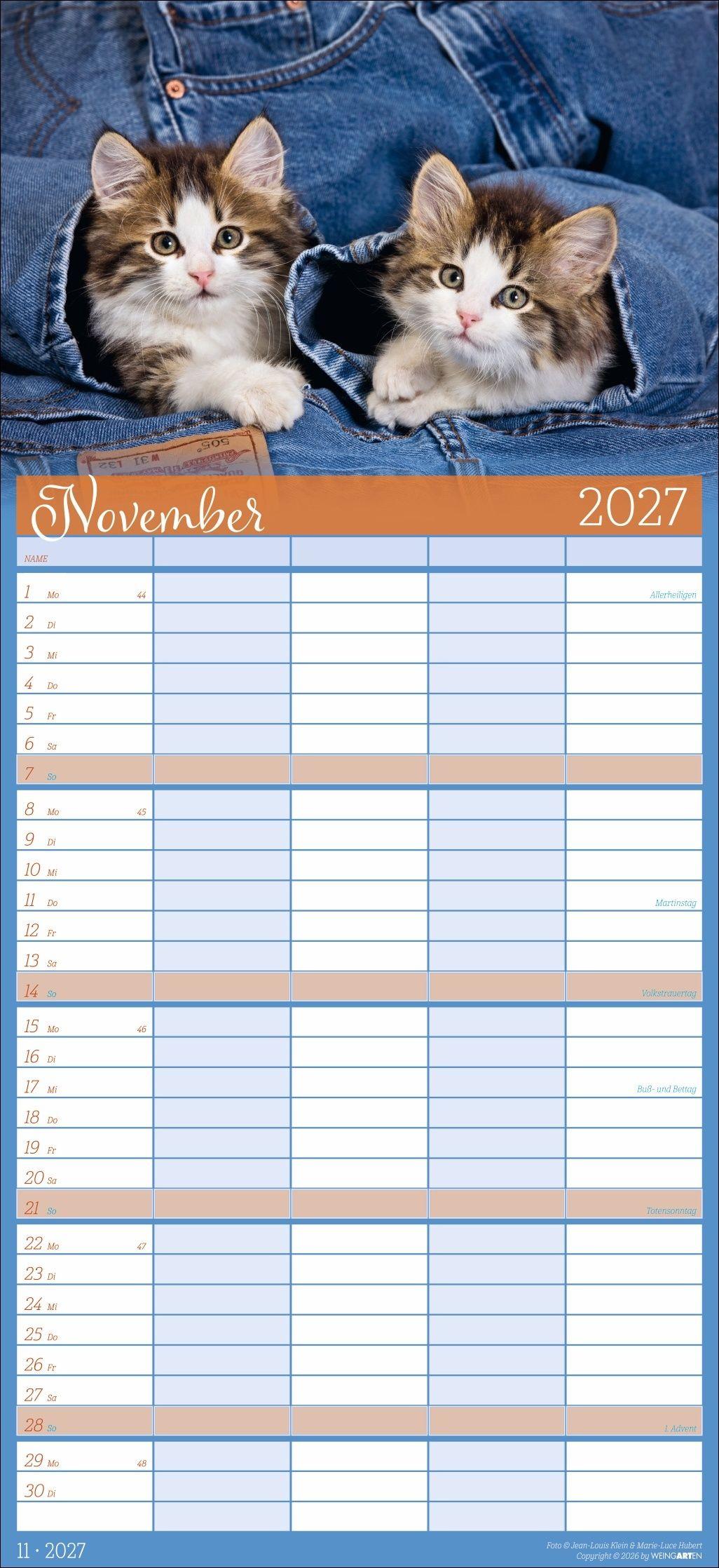 Beispielinhalt (Bild) Cool Cats Familienplaner 2027