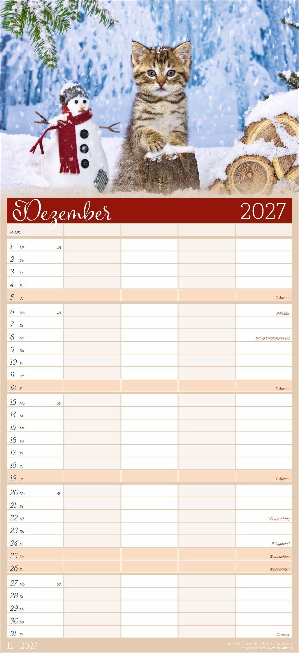 Beispielinhalt (Bild) Cool Cats Familienplaner 2027