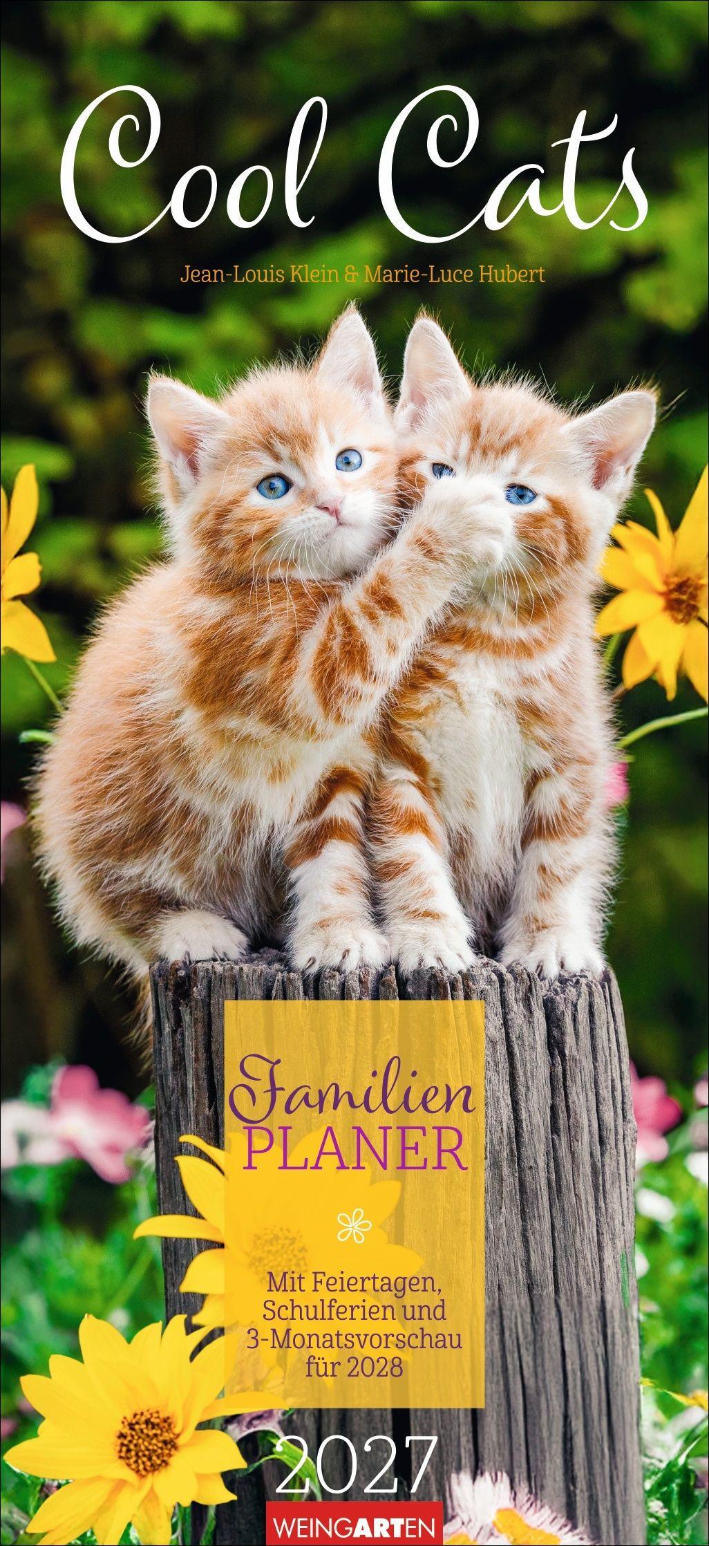 Vorderes Coverbild Cool Cats Familienplaner 2027