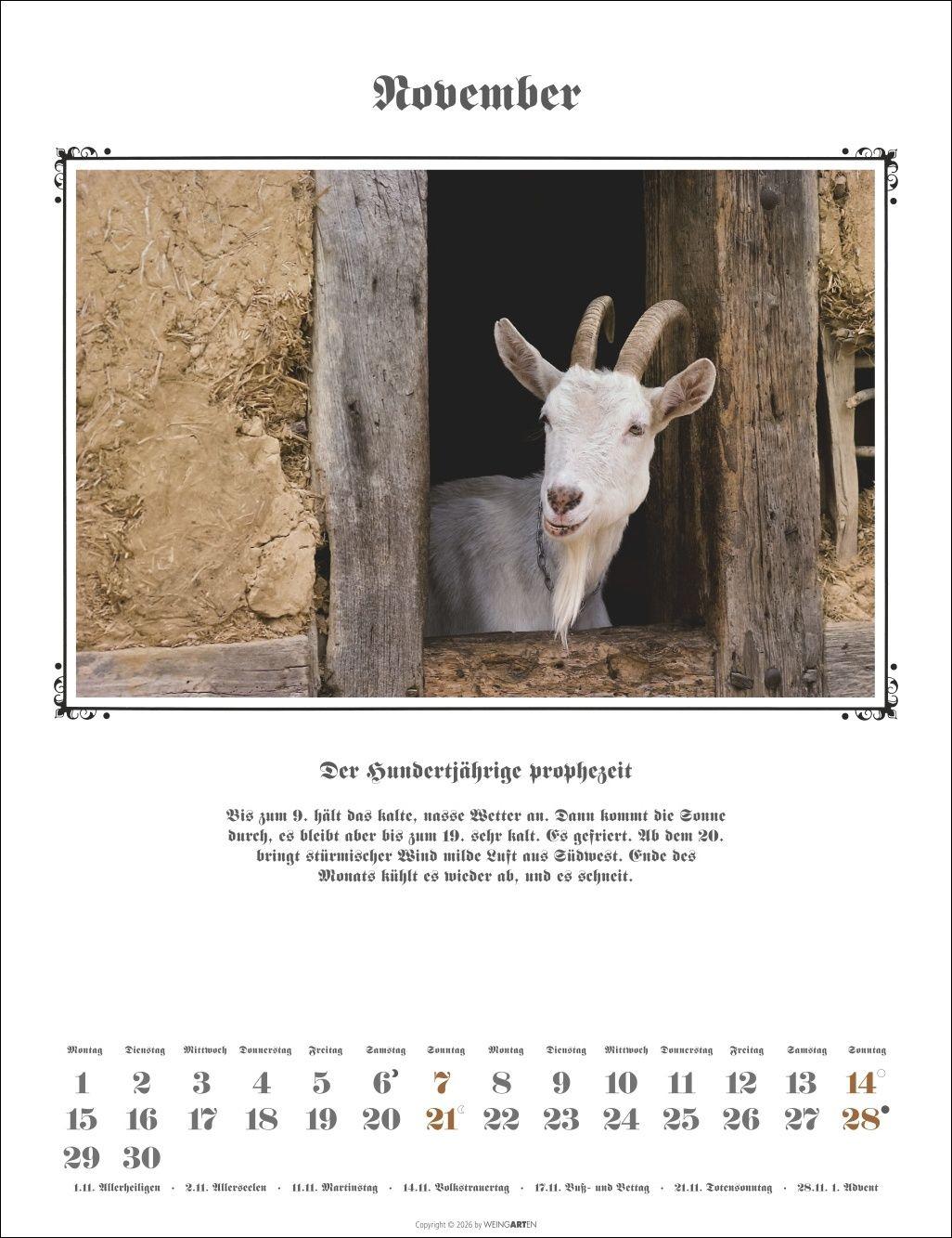 Beispielinhalt (Bild) Der Hundertjährige Kalender 2027