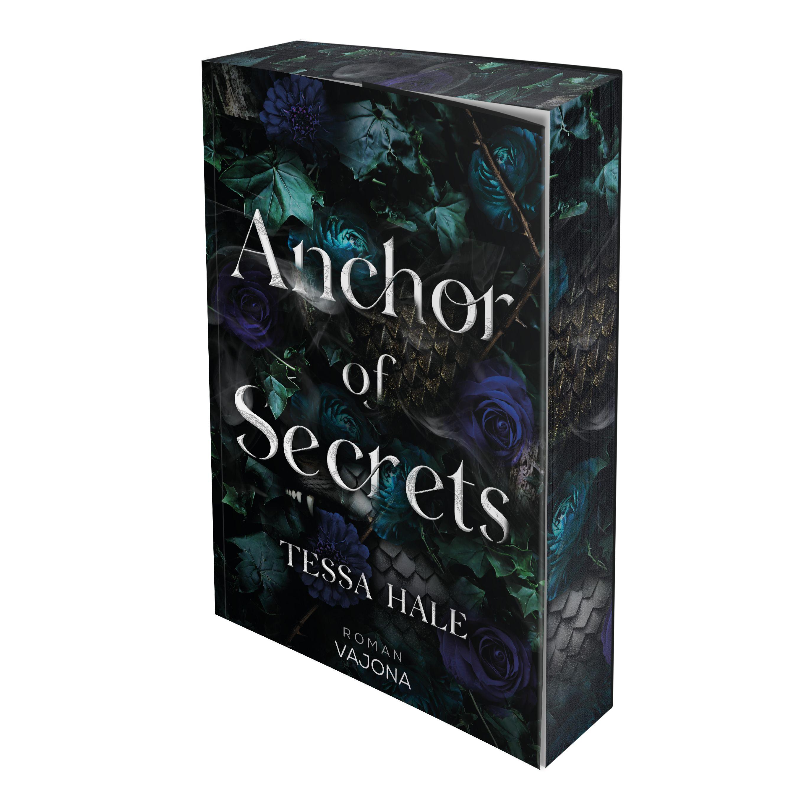 Vorderes Coverbild Anchor of Secrets