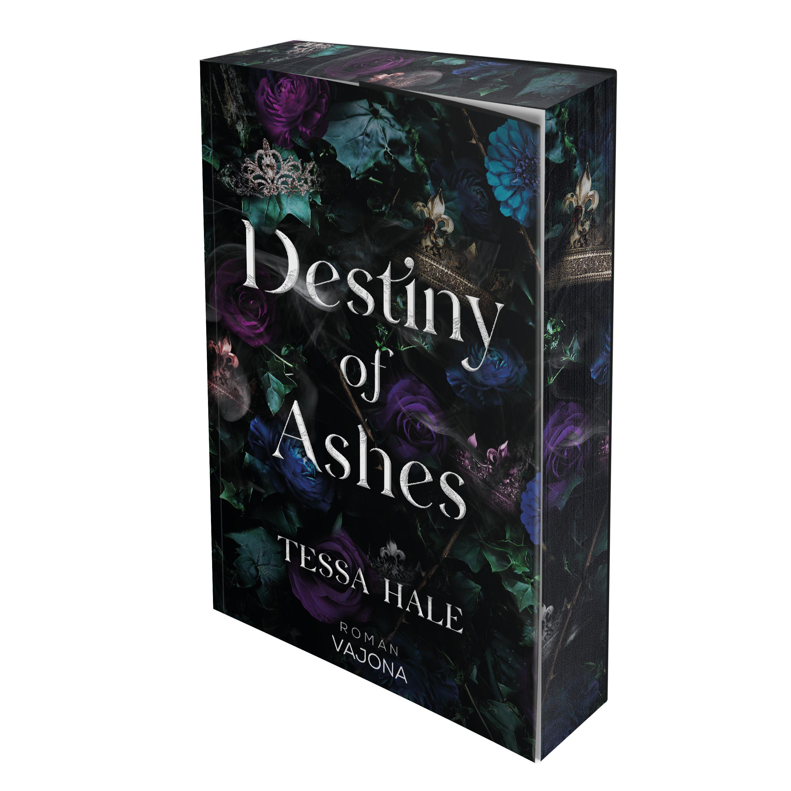 Vorderes Coverbild Destiny of Ashes
