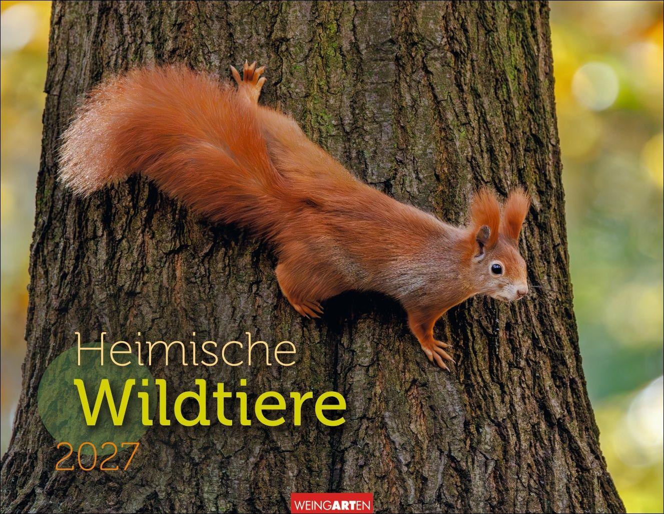 Vorderes Coverbild Heimische Wildtiere Kalender 2027