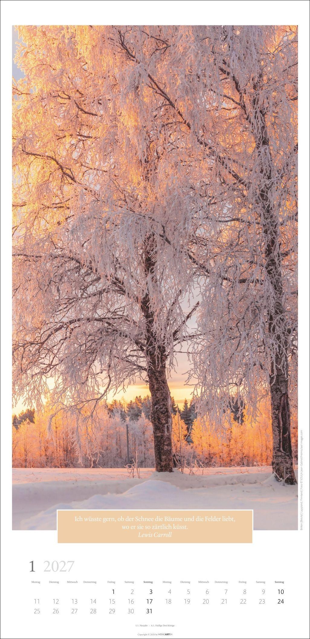 Beispielinhalt (Bild) Wunderwelt der Bäume Kalender 2027