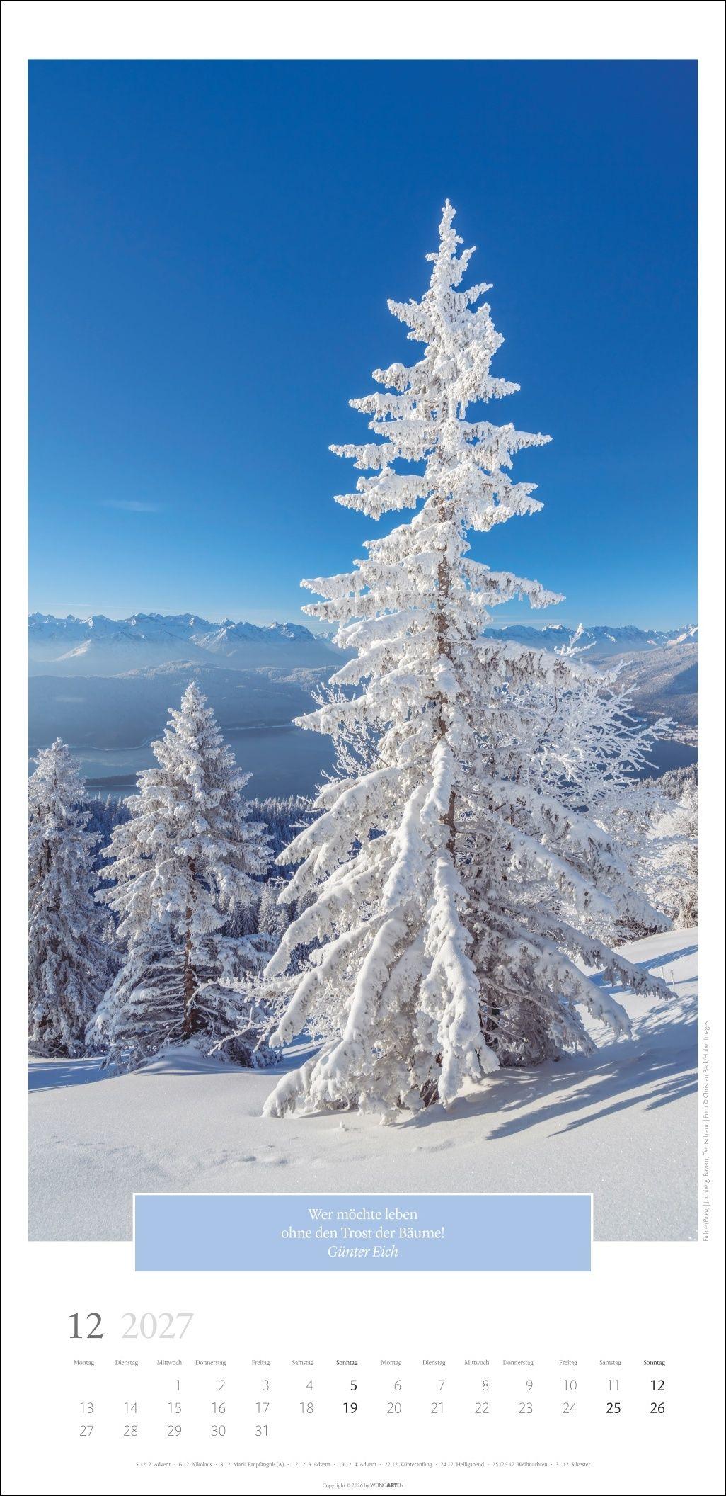 Beispielinhalt (Bild) Wunderwelt der Bäume Kalender 2027
