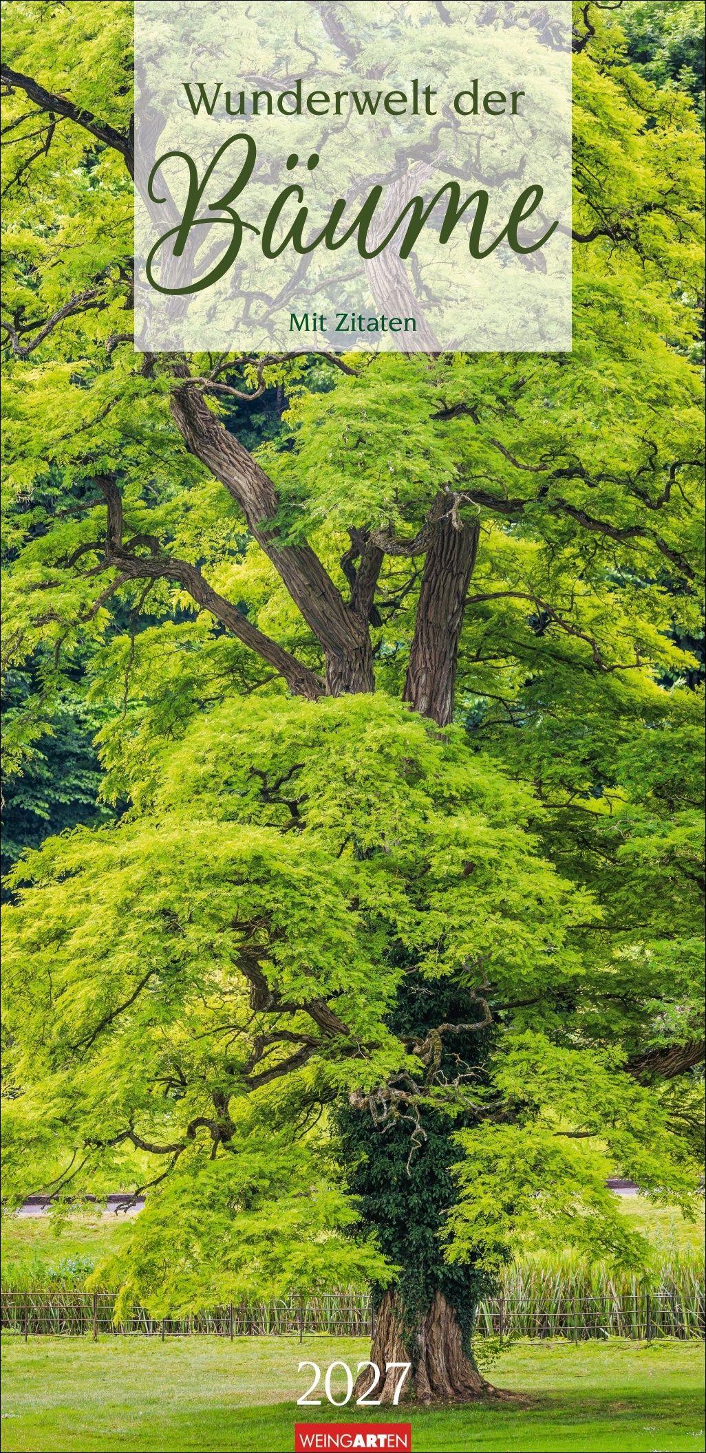 Vorderes Coverbild Wunderwelt der Bäume Kalender 2027