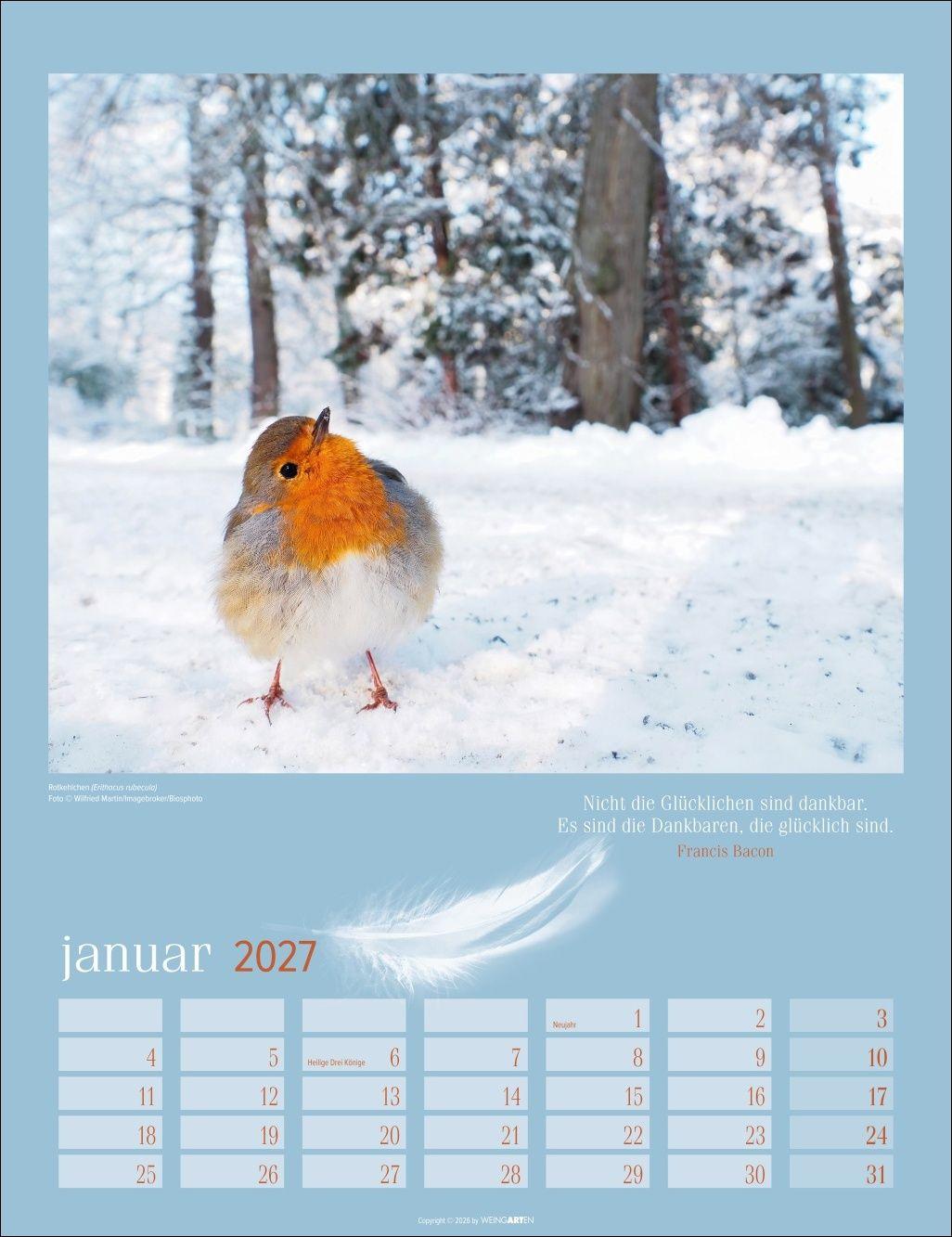 Beispielinhalt (Bild) Heimische Vögel Kalender 2027