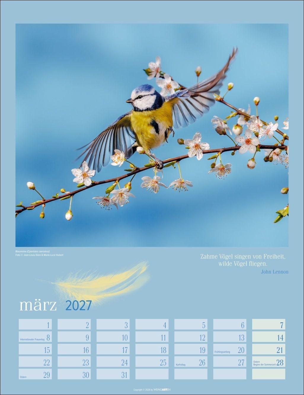 Beispielinhalt (Bild) Heimische Vögel Kalender 2027