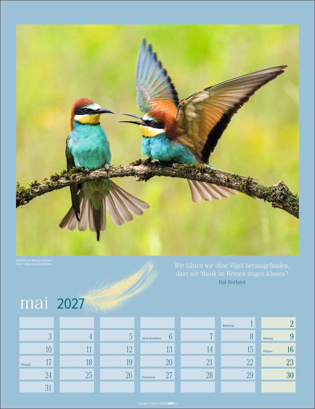 Beispielinhalt (Bild) Heimische Vögel Kalender 2027