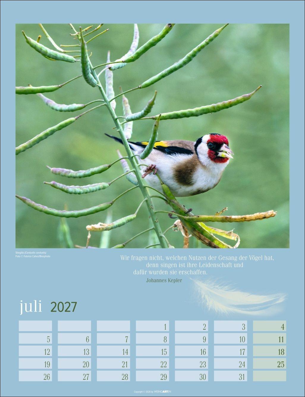 Beispielinhalt (Bild) Heimische Vögel Kalender 2027
