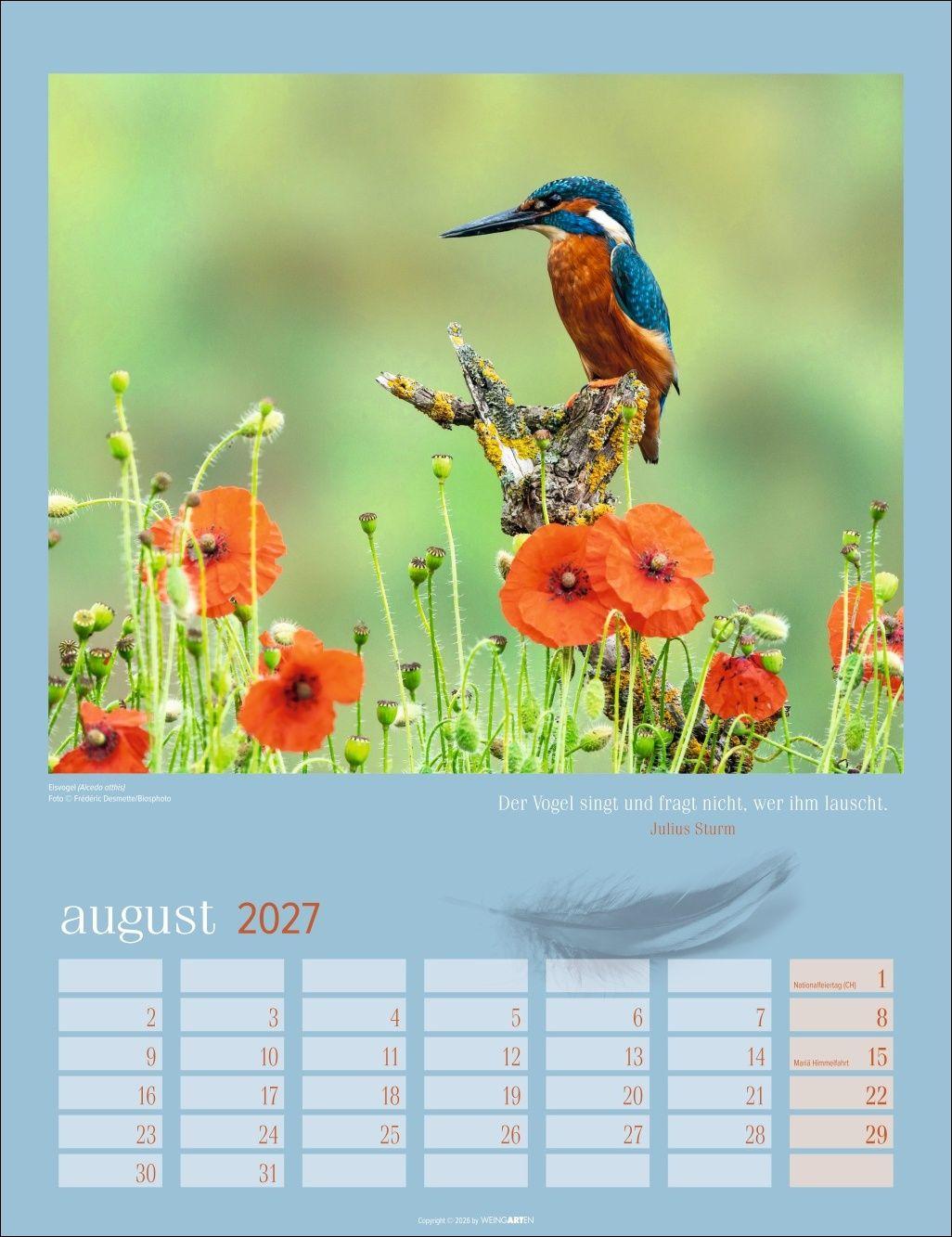 Beispielinhalt (Bild) Heimische Vögel Kalender 2027