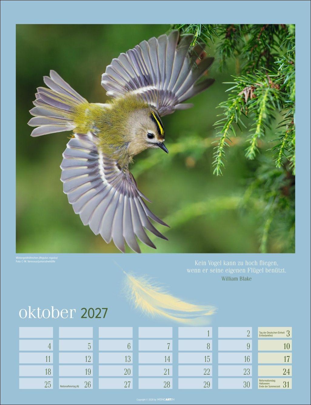 Beispielinhalt (Bild) Heimische Vögel Kalender 2027