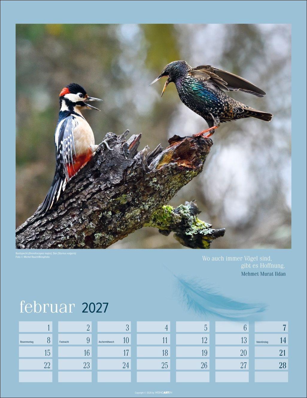 Beispielinhalt (Bild) Heimische Vögel Kalender 2027