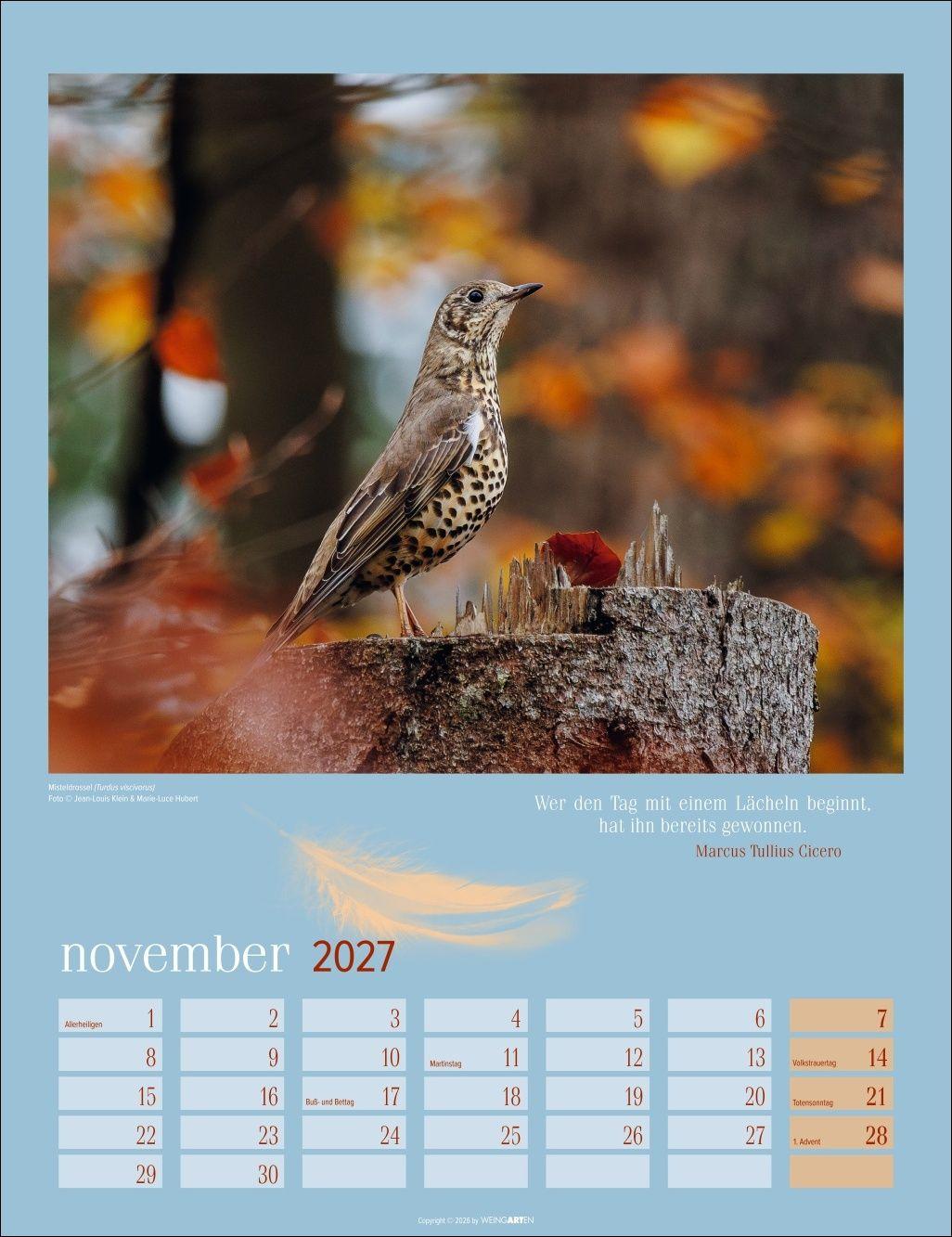 Beispielinhalt (Bild) Heimische Vögel Kalender 2027