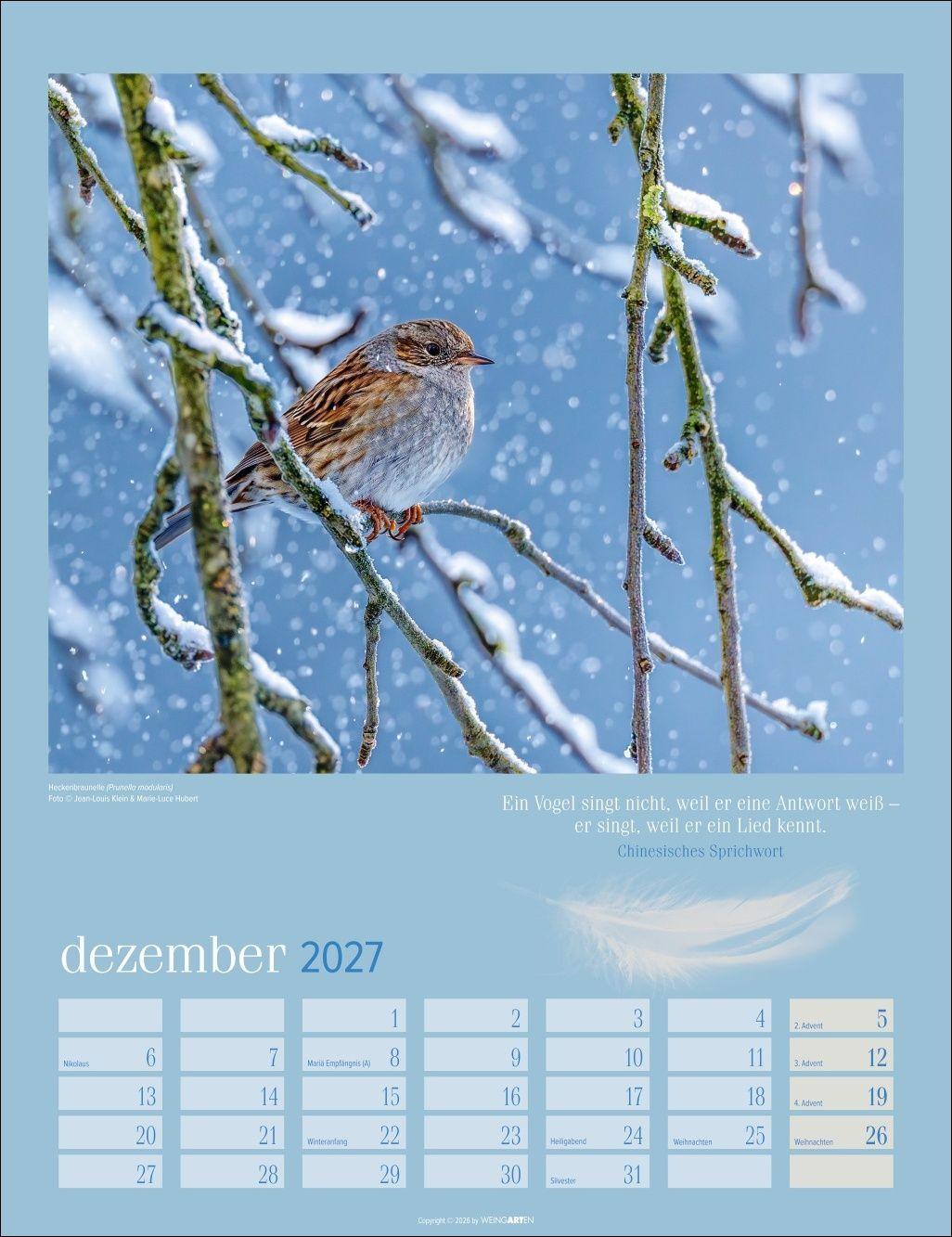 Beispielinhalt (Bild) Heimische Vögel Kalender 2027