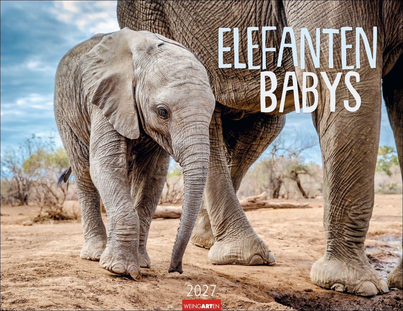 Vorderes Coverbild Elefantenbabys Kalender 2027