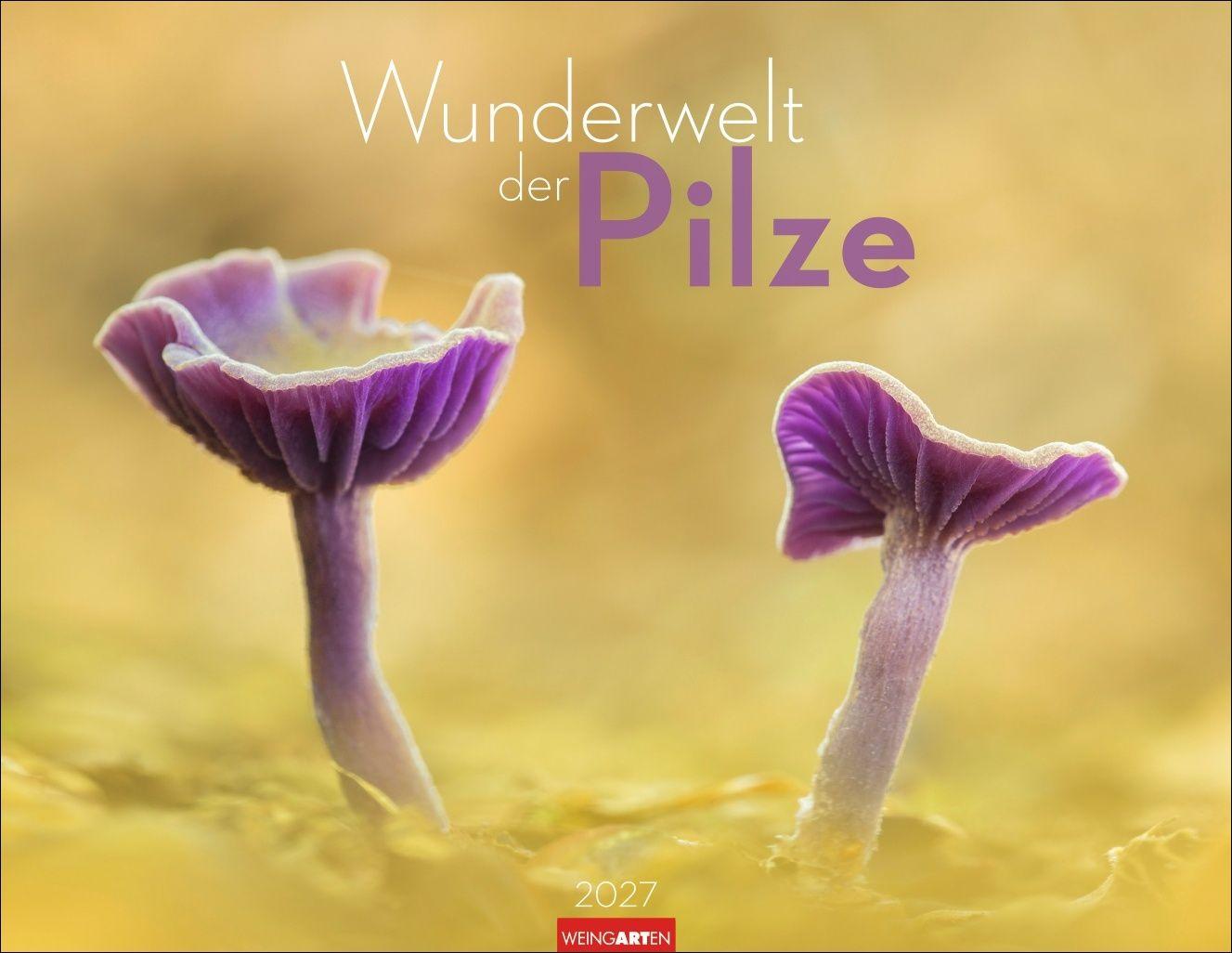 Vorderes Coverbild Wunderwelt der Pilze Kalender 2027