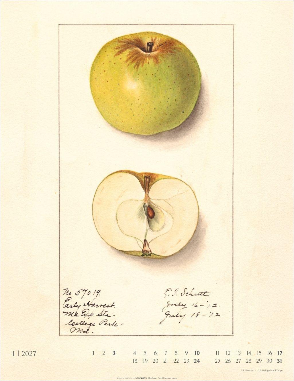 Beispielinhalt (Bild) Alte Sorten Kalender 2027