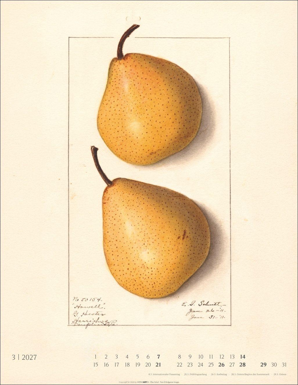 Beispielinhalt (Bild) Alte Sorten Kalender 2027
