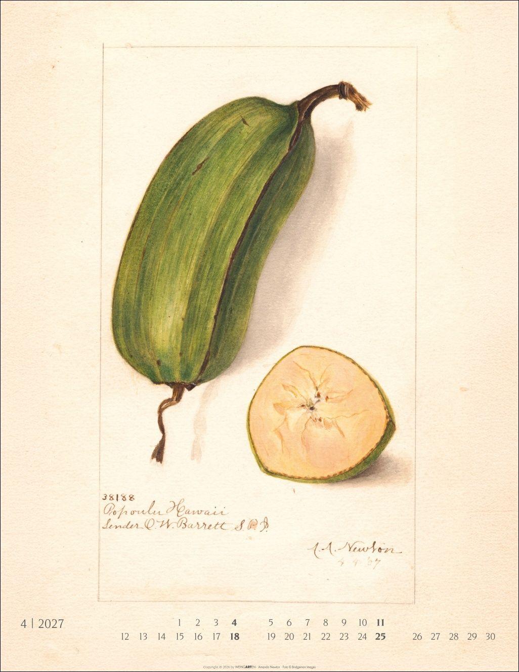 Beispielinhalt (Bild) Alte Sorten Kalender 2027