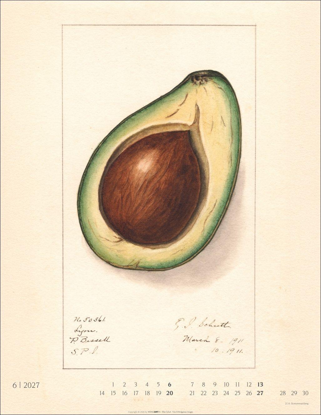 Beispielinhalt (Bild) Alte Sorten Kalender 2027