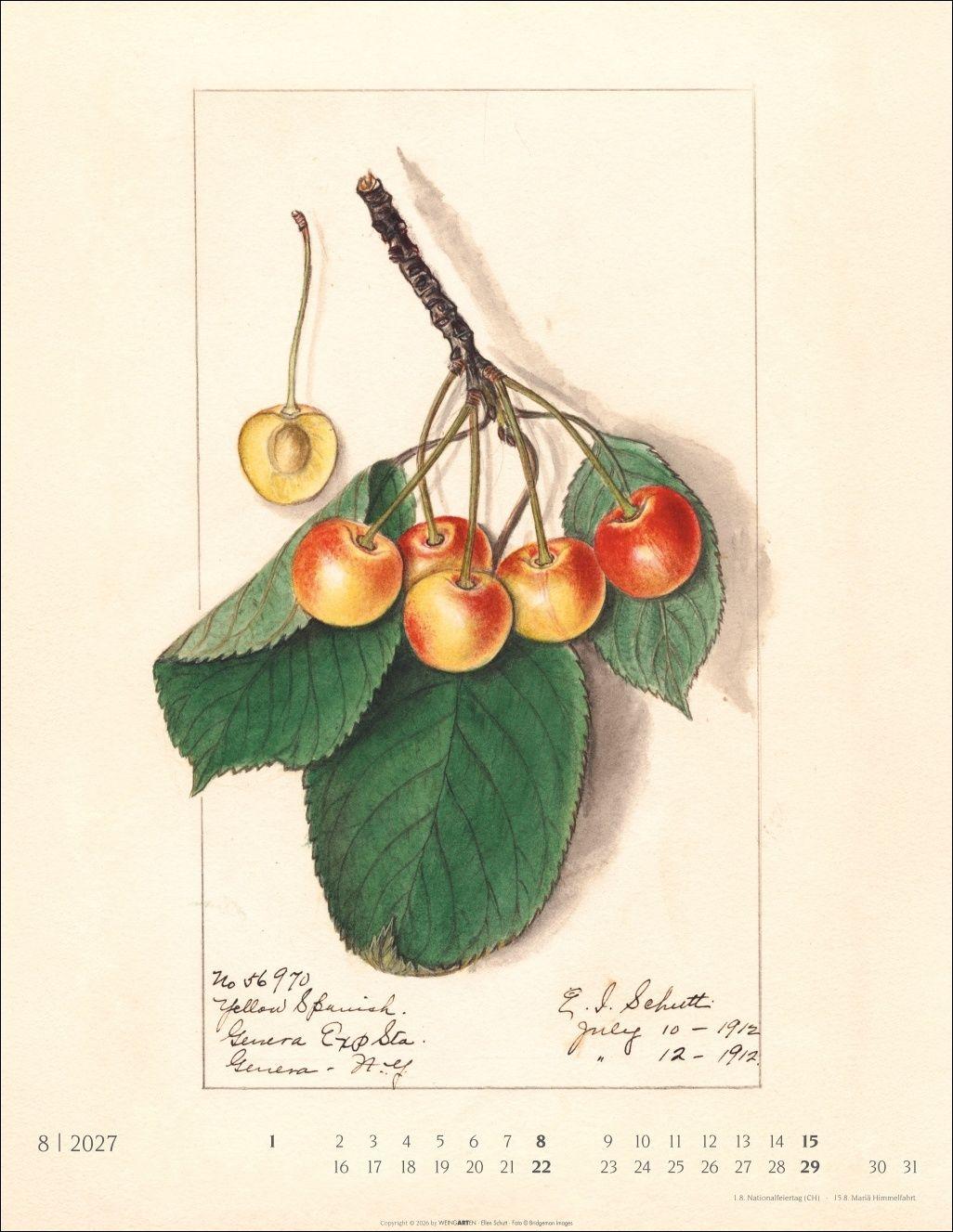 Beispielinhalt (Bild) Alte Sorten Kalender 2027