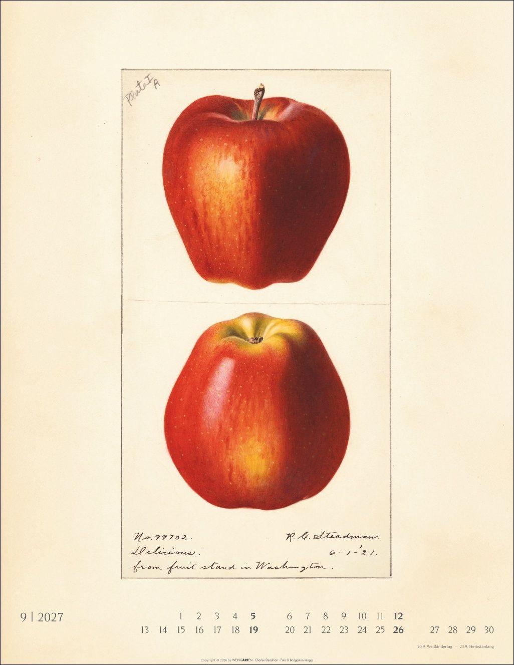 Beispielinhalt (Bild) Alte Sorten Kalender 2027