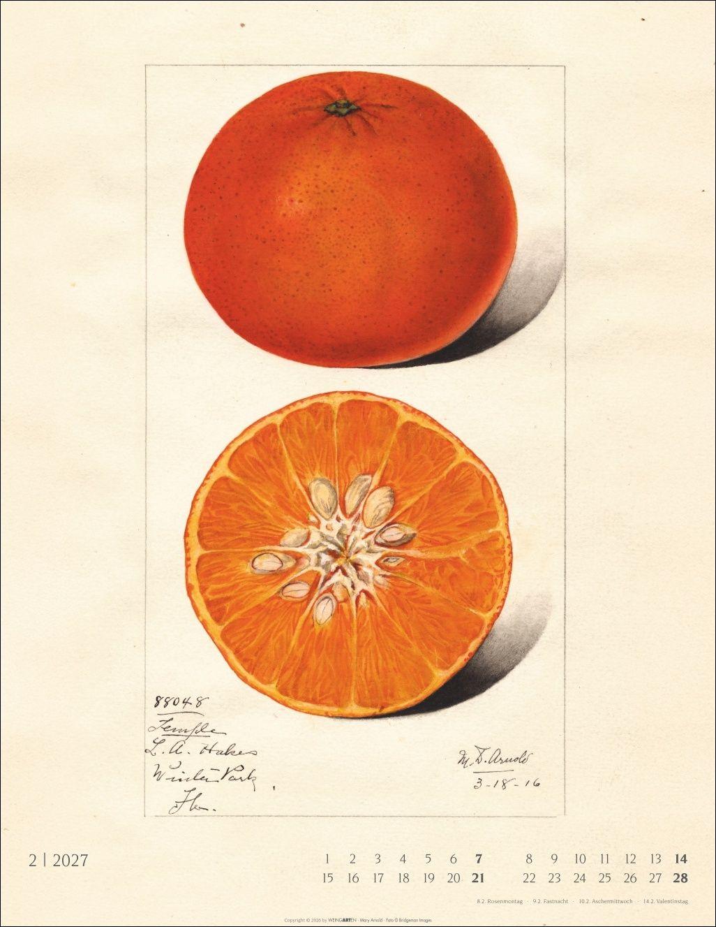 Beispielinhalt (Bild) Alte Sorten Kalender 2027