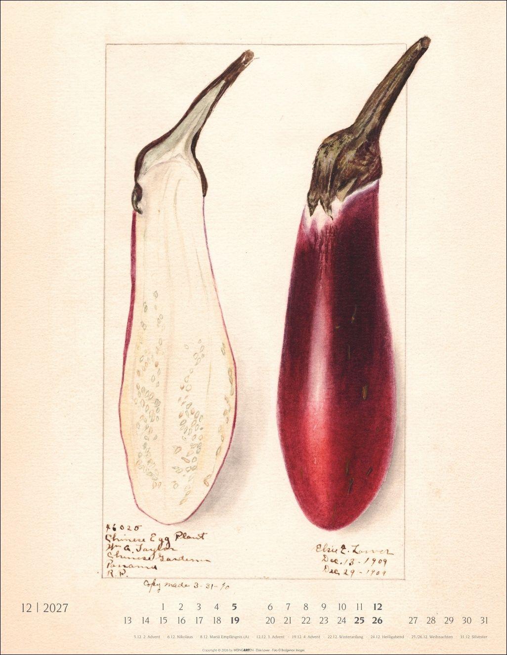 Beispielinhalt (Bild) Alte Sorten Kalender 2027