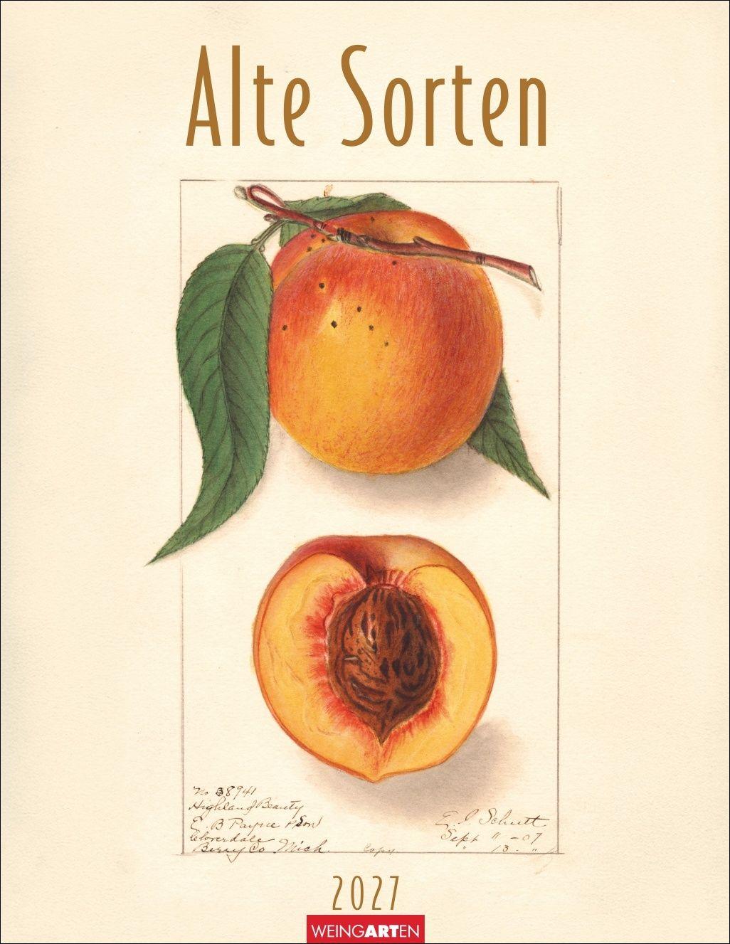 Vorderes Coverbild Alte Sorten Kalender 2027