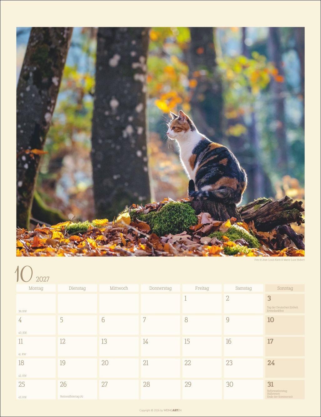Beispielinhalt (Bild) Katzen auf dem Lande Kalender 2027