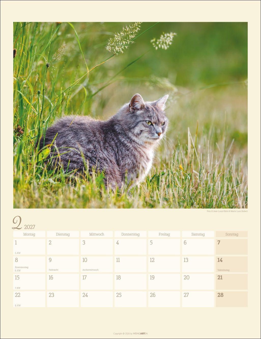 Beispielinhalt (Bild) Katzen auf dem Lande Kalender 2027