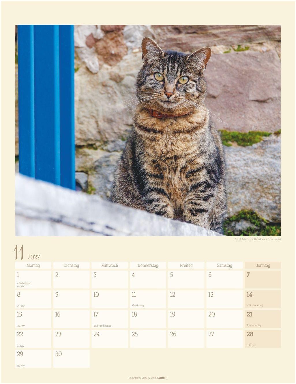 Beispielinhalt (Bild) Katzen auf dem Lande Kalender 2027