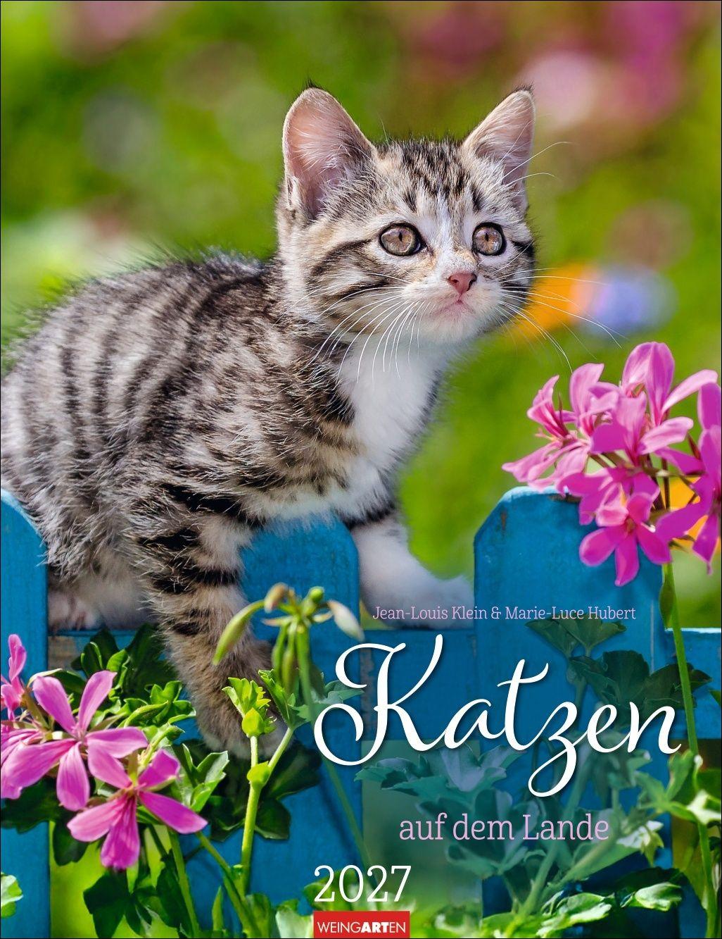 Vorderes Coverbild Katzen auf dem Lande Kalender 2027