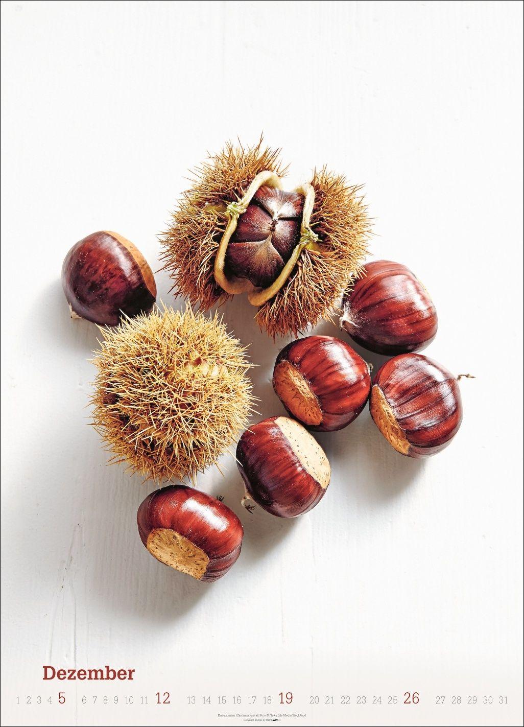 Beispielinhalt (Bild) Fresh Food Kalender 2027