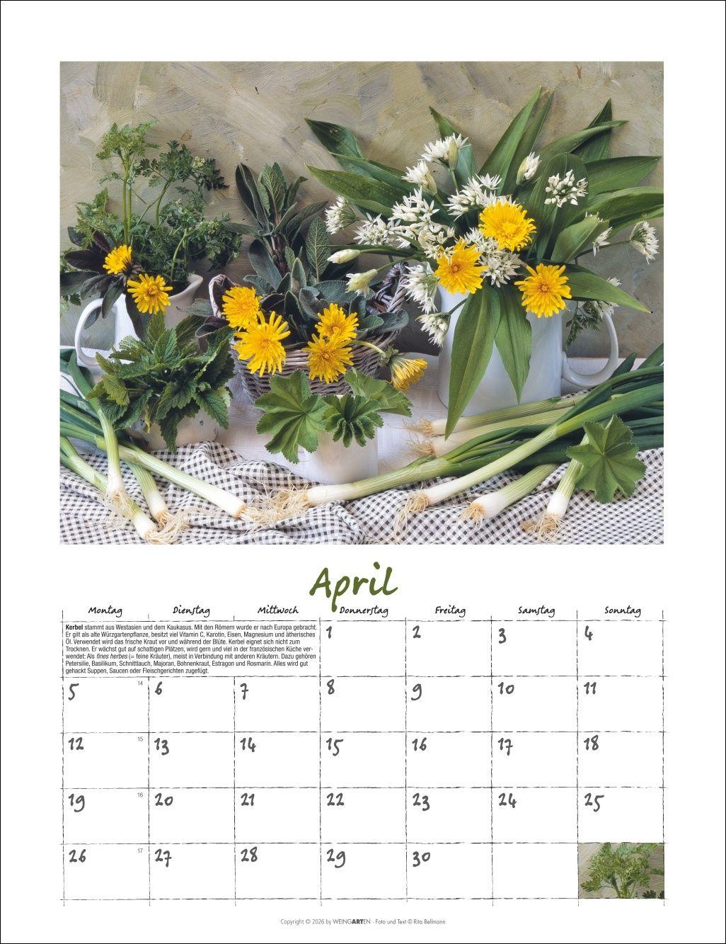 Beispielinhalt (Bild) Augenschmaus Kalender 2027 - Gewürze und Kräuter rund ums Jahr