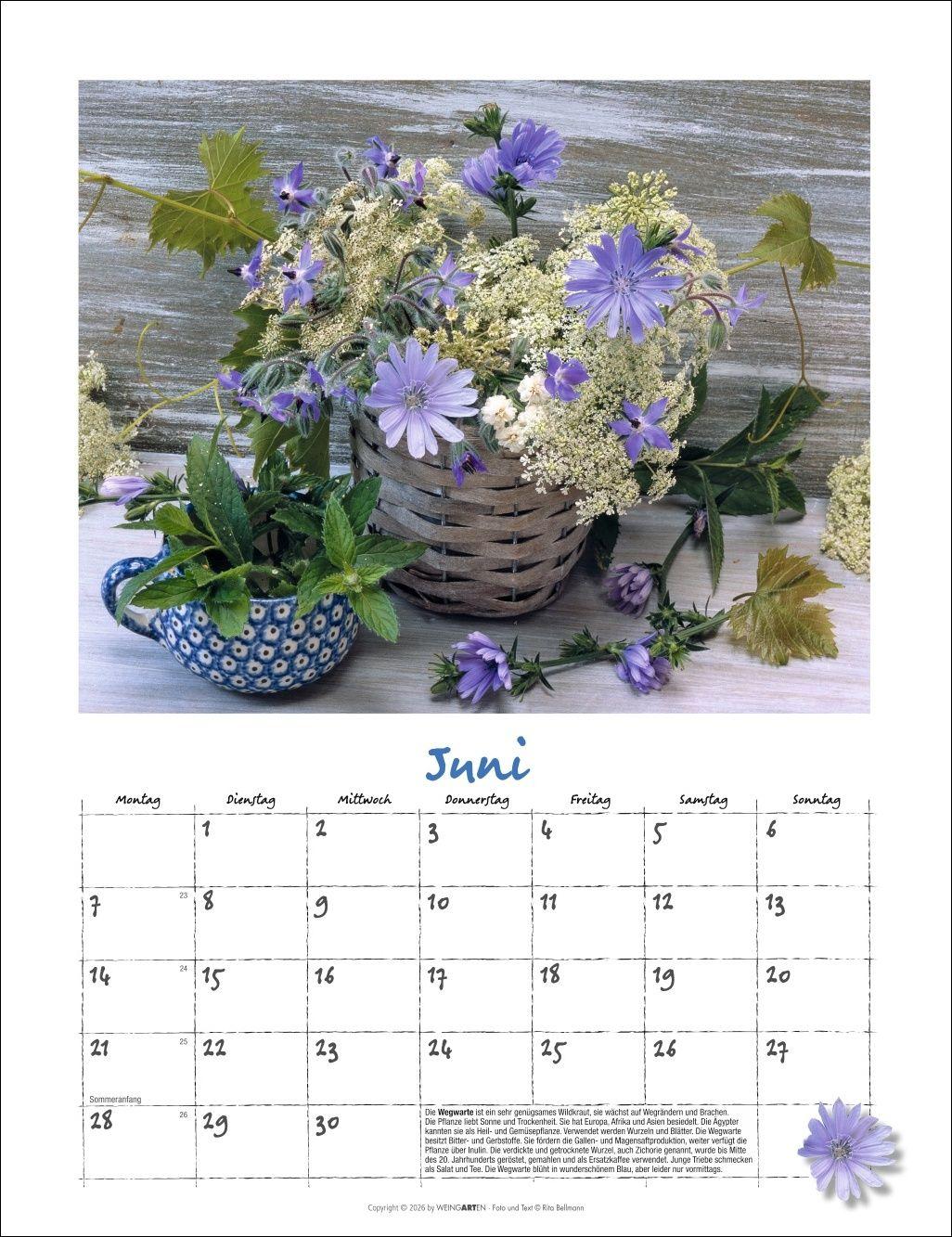 Beispielinhalt (Bild) Augenschmaus Kalender 2027 - Gewürze und Kräuter rund ums Jahr