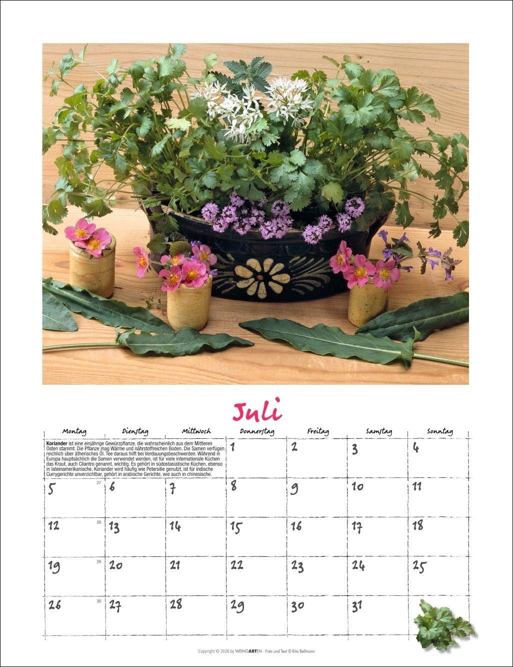 Beispielinhalt (Bild) Augenschmaus Kalender 2027 - Gewürze und Kräuter rund ums Jahr