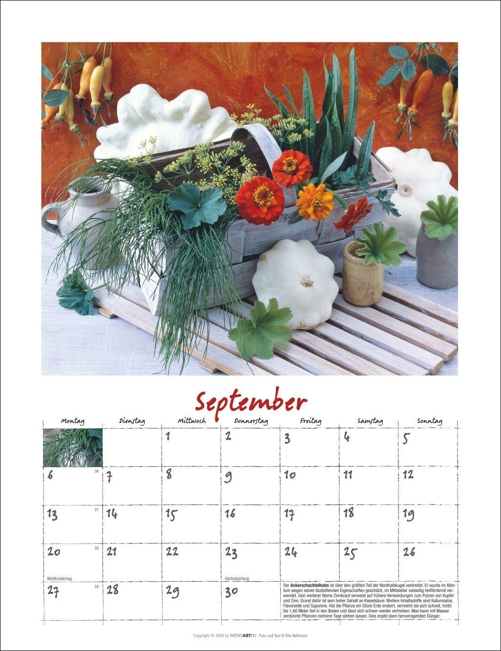 Beispielinhalt (Bild) Augenschmaus Kalender 2027 - Gewürze und Kräuter rund ums Jahr