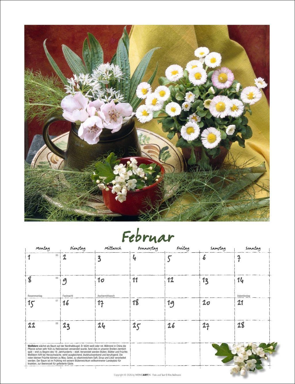 Beispielinhalt (Bild) Augenschmaus Kalender 2027 - Gewürze und Kräuter rund ums Jahr