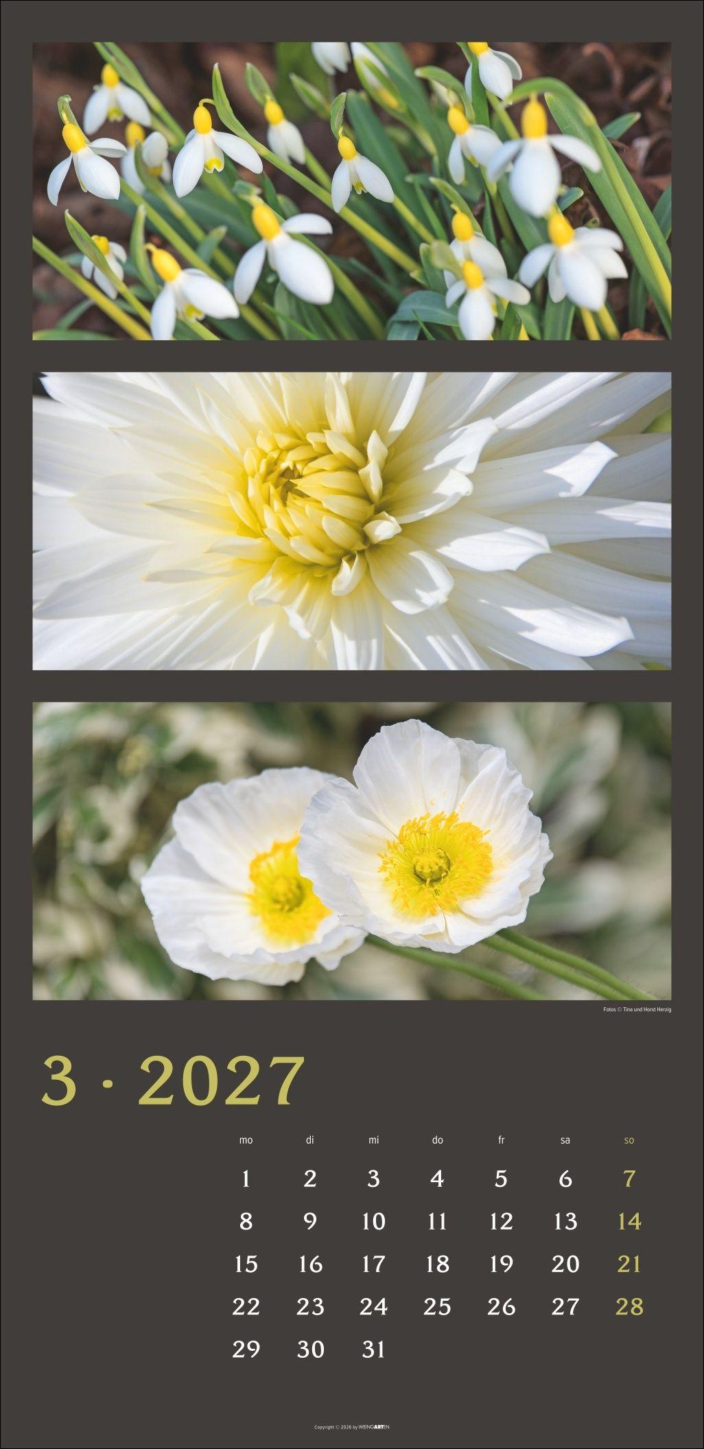 Beispielinhalt (Bild) Die Farben der Natur Kalender 2027