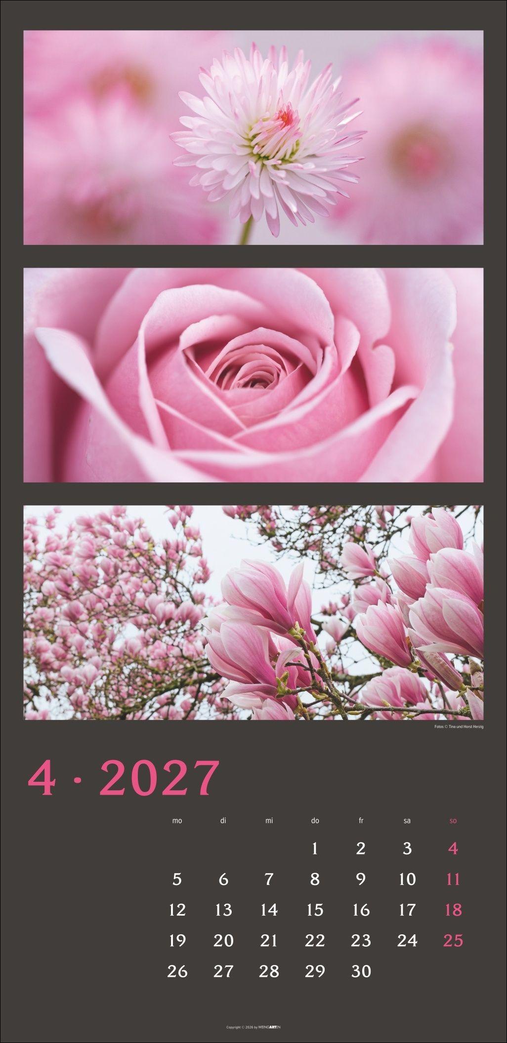 Beispielinhalt (Bild) Die Farben der Natur Kalender 2027