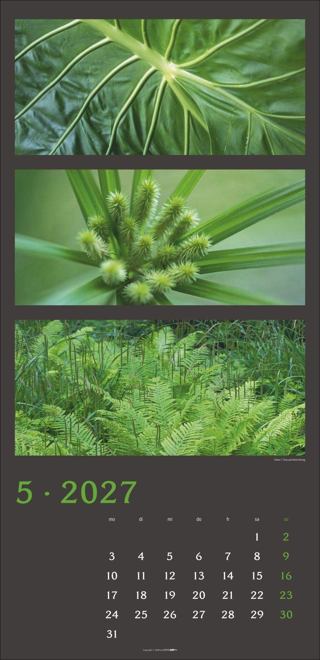 Beispielinhalt (Bild) Die Farben der Natur Kalender 2027