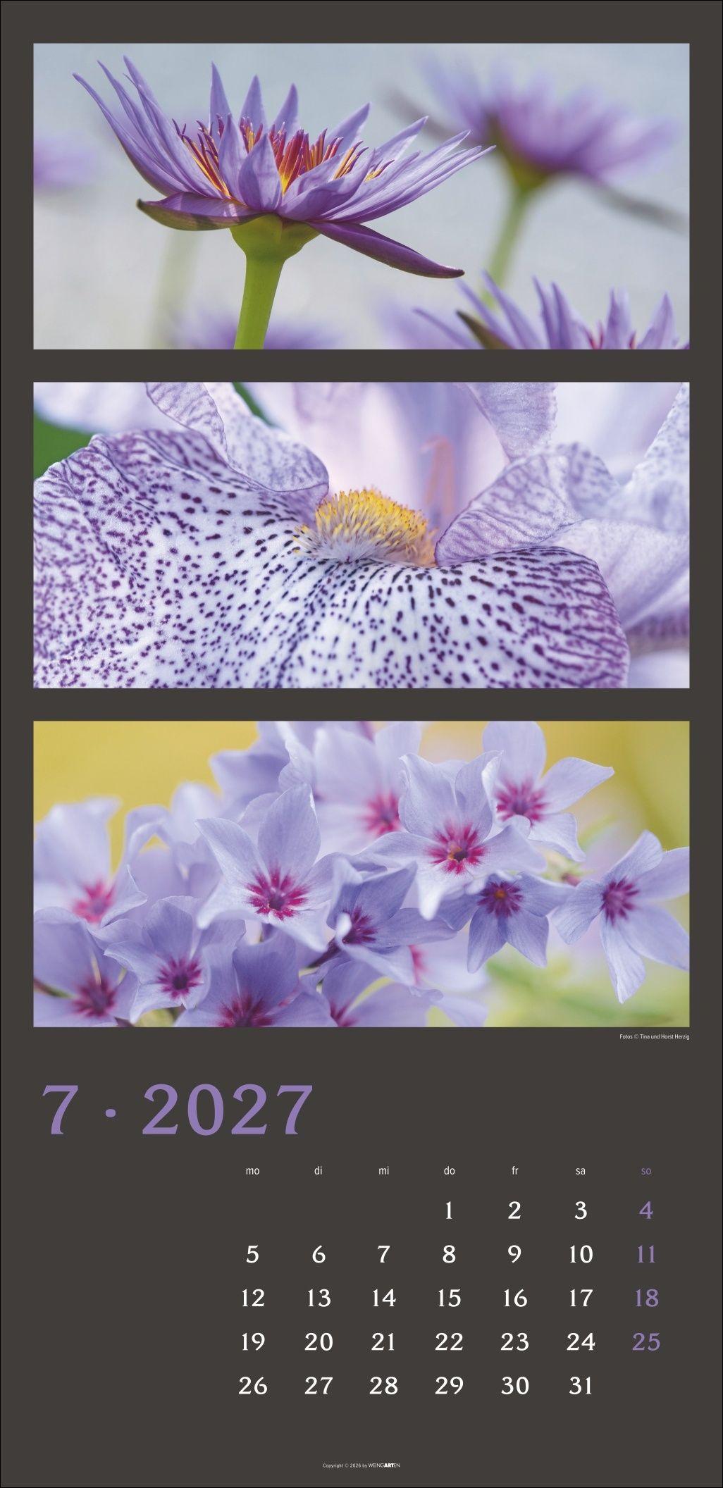 Beispielinhalt (Bild) Die Farben der Natur Kalender 2027