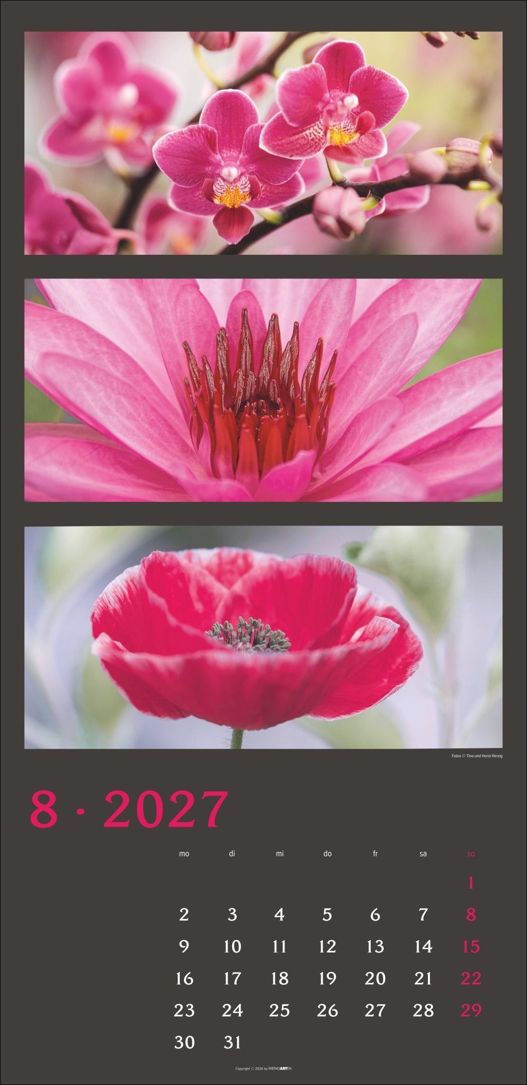 Beispielinhalt (Bild) Die Farben der Natur Kalender 2027