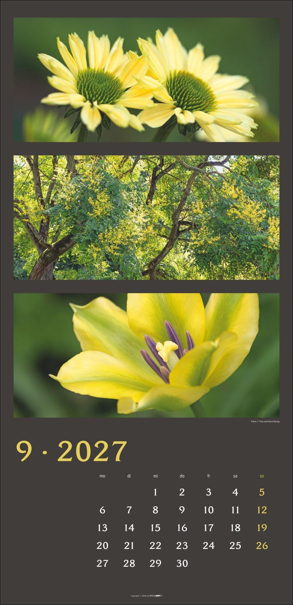 Beispielinhalt (Bild) Die Farben der Natur Kalender 2027