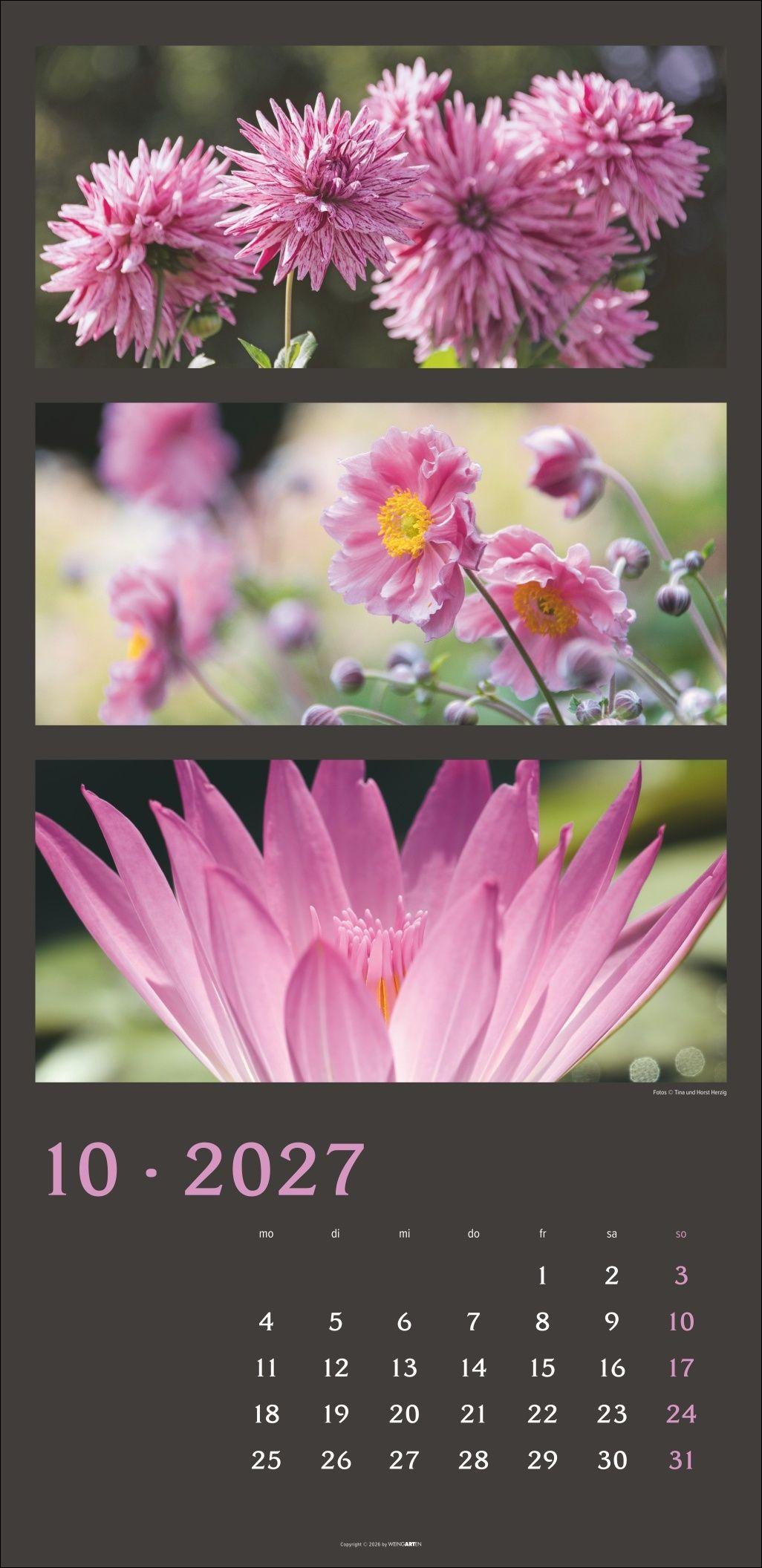 Beispielinhalt (Bild) Die Farben der Natur Kalender 2027