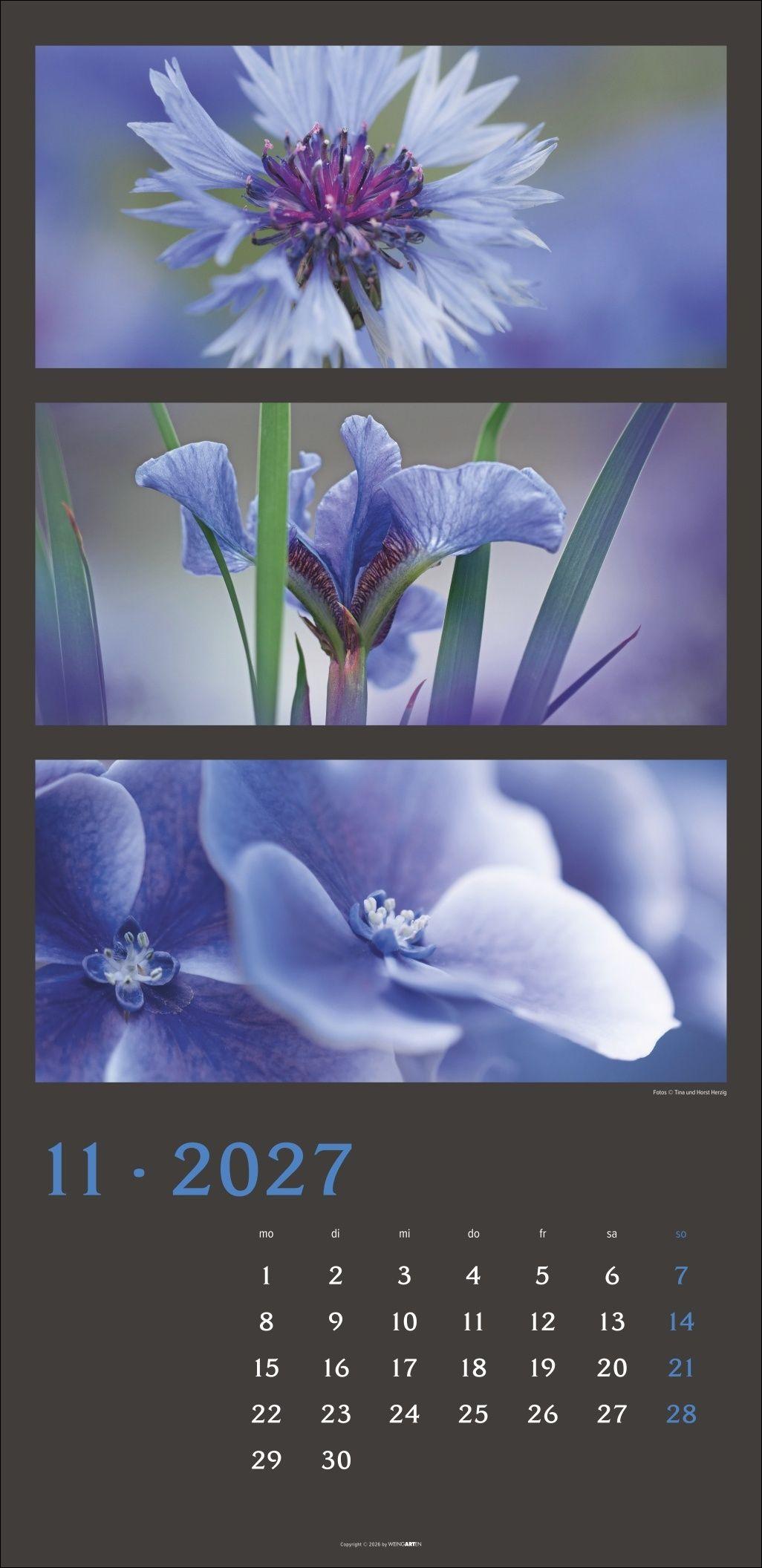 Beispielinhalt (Bild) Die Farben der Natur Kalender 2027