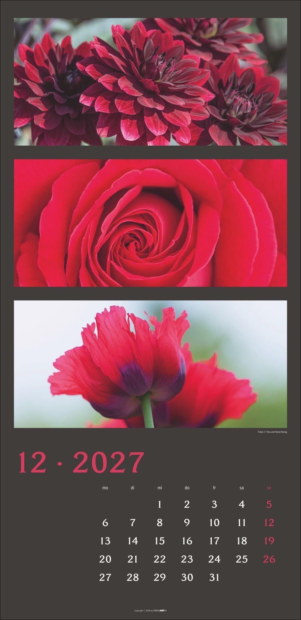 Beispielinhalt (Bild) Die Farben der Natur Kalender 2027