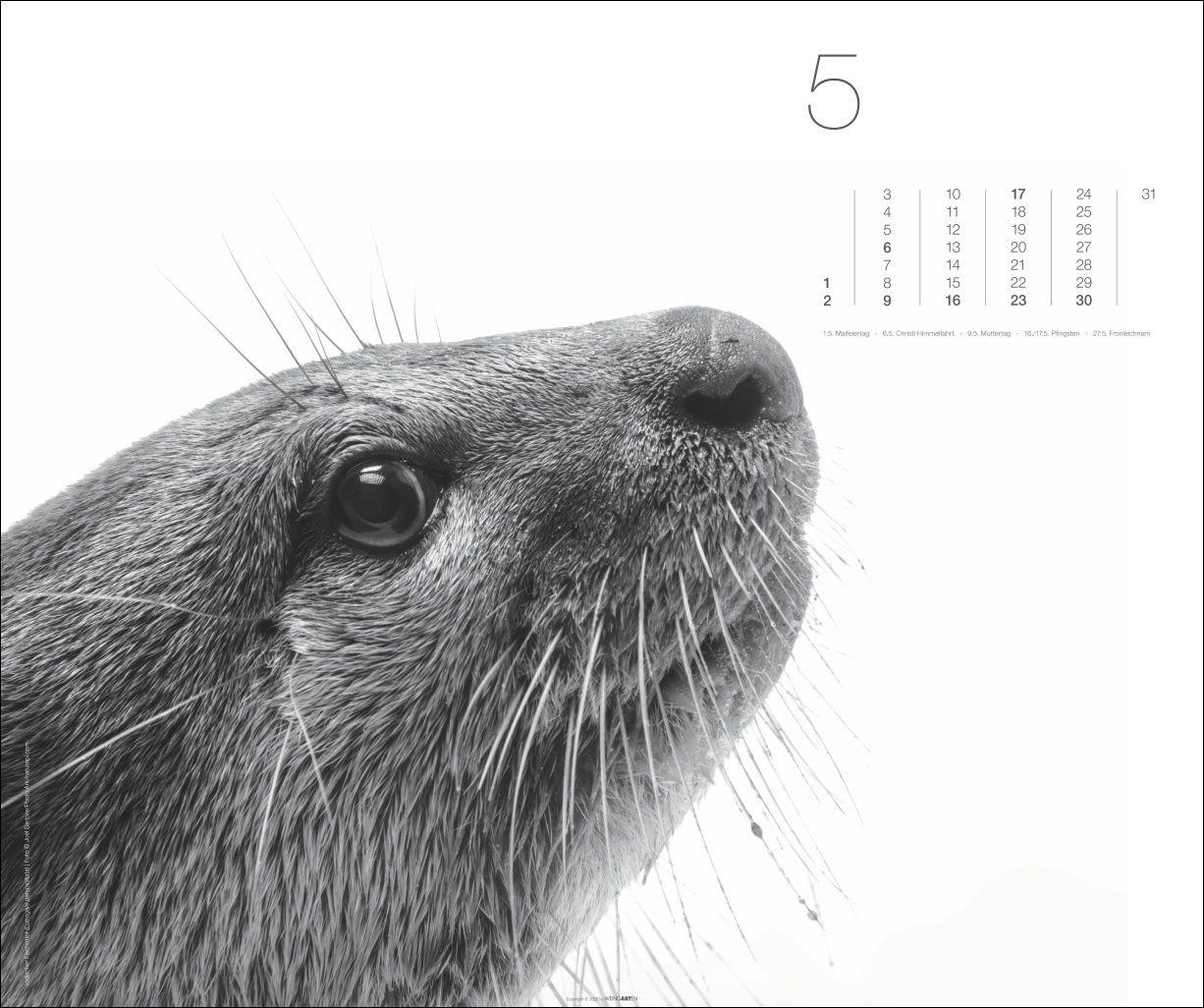 Beispielinhalt (Bild) Black & White Animals 2027